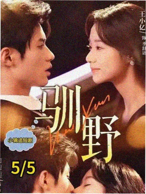 韩国综艺出海趋势分析配图